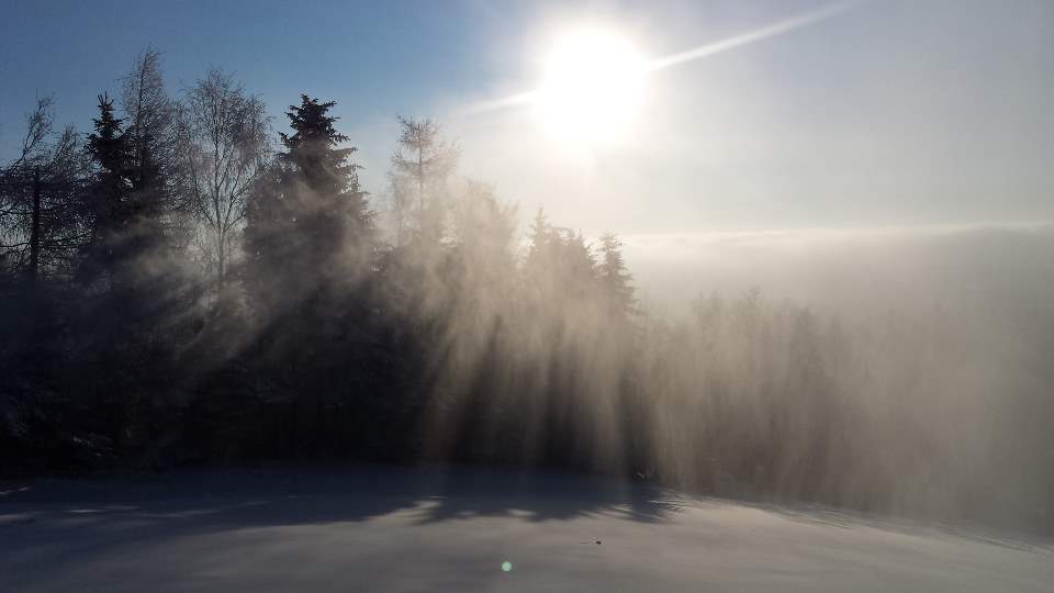 20150124_092210_191030032716.jpg